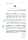 Vista preliminar de documento Resolucion de Dirección General