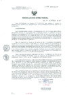 Vista preliminar de documento Resolucion de Dirección General