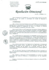 Vista preliminar de documento Resolucion de Dirección General