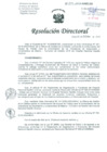 Vista preliminar de documento Resolucion de Dirección General