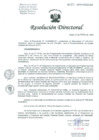 Vista preliminar de documento Resolucion de Dirección General
