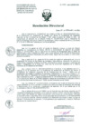 Vista preliminar de documento Resolucion de Dirección General