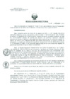 Vista preliminar de documento Resolucion de Dirección General