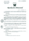 Vista preliminar de documento Resolucion de Dirección General