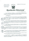 Vista preliminar de documento Resolucion de Dirección General