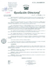 Vista preliminar de documento Resolucion de Dirección General