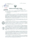 Vista preliminar de documento Resolucion de Dirección General