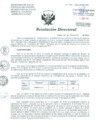 Vista preliminar de documento Resolucion de Dirección General