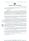 Vista preliminar de documento Resolucion de Dirección General