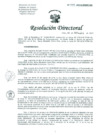 Vista preliminar de documento Resolucion de Dirección General