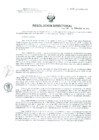 Vista preliminar de documento Resolucion de Dirección General