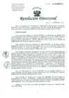 Vista preliminar de documento Resolucion de Dirección General
