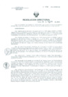 Vista preliminar de documento Resolucion de Dirección General