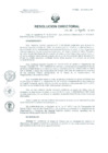 Vista preliminar de documento Resolucion de Dirección General