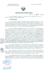 Vista preliminar de documento Resolucion de Dirección General