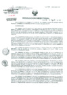 Vista preliminar de documento Resolucion de Dirección General