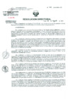 Vista preliminar de documento Resolucion de Dirección General