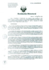 Vista preliminar de documento Resolucion de Dirección General