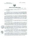 Vista preliminar de documento Resolucion de Dirección General