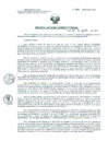 Vista preliminar de documento Resolucion de Dirección General