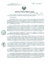 Vista preliminar de documento Resolucion de Dirección General