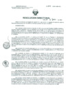 Vista preliminar de documento Resolucion de Dirección General