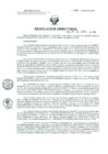 Vista preliminar de documento Resolucion de Dirección General