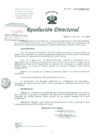 Vista preliminar de documento Resolucion de Dirección General