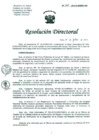 Vista preliminar de documento Resolucion de Dirección General