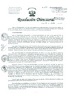 Vista preliminar de documento Resolucion de Dirección General