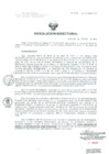 Vista preliminar de documento Resolucion de Dirección General