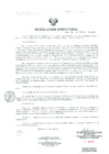 Vista preliminar de documento Resolucion de Dirección General