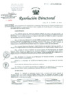 Vista preliminar de documento Resolucion de Dirección General