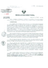 Vista preliminar de documento Resolucion de Dirección General