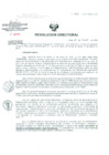Vista preliminar de documento Resolucion de Dirección General