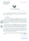 Vista preliminar de documento Resolucion de Dirección General