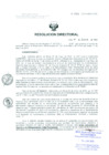 Vista preliminar de documento Resolucion de Dirección General
