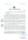 Vista preliminar de documento Resolucion de Dirección General