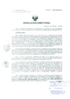Vista preliminar de documento Resolucion de Dirección General