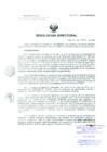 Vista preliminar de documento Resolucion de Dirección General