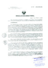 Vista preliminar de documento Resolucion de Dirección General