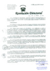 Vista preliminar de documento Resolucion de Dirección General