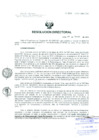 Vista preliminar de documento Resolucion de Dirección General