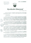 Vista preliminar de documento Resolucion de Dirección General