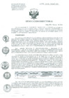Vista preliminar de documento Resolucion de Dirección General