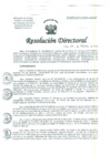 Vista preliminar de documento Resolucion de Dirección General