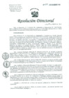 Vista preliminar de documento Resolucion de Dirección General