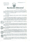 Vista preliminar de documento Resolucion de Dirección General