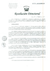 Vista preliminar de documento Resolucion de Dirección General