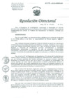 Vista preliminar de documento Resolucion de Dirección General